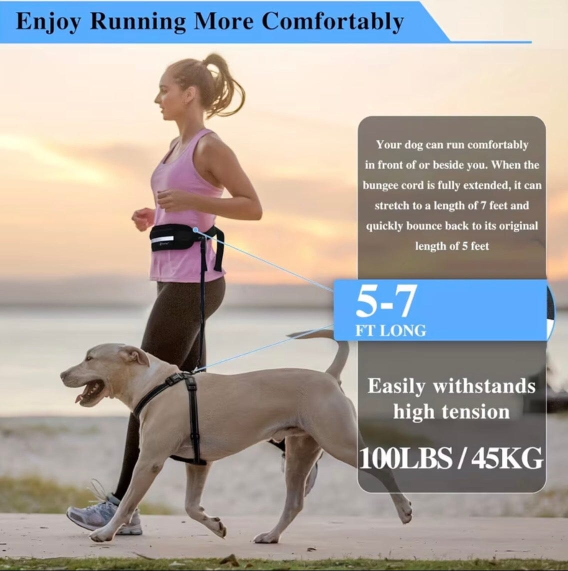 1 piece Hands-Free Dog Leash petzempire.store