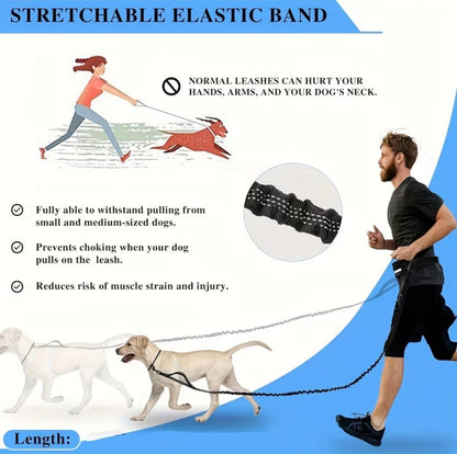 1 piece Hands-Free Dog Leash petzempire.store 